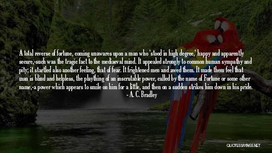 Sacherijnig Quotes By A. C. Bradley Sacherijnig Quotes By A. C. Bradley