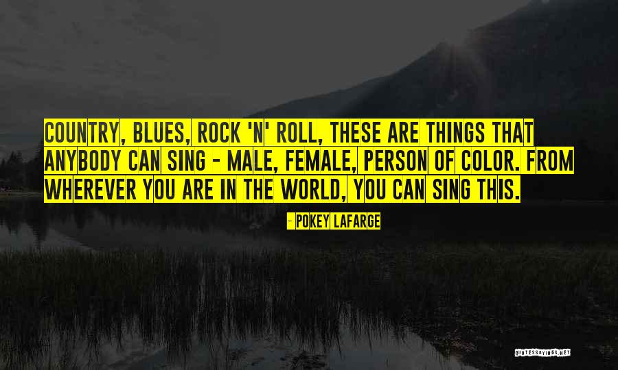 Sacheverell Riots Quotes By Pokey LaFarge