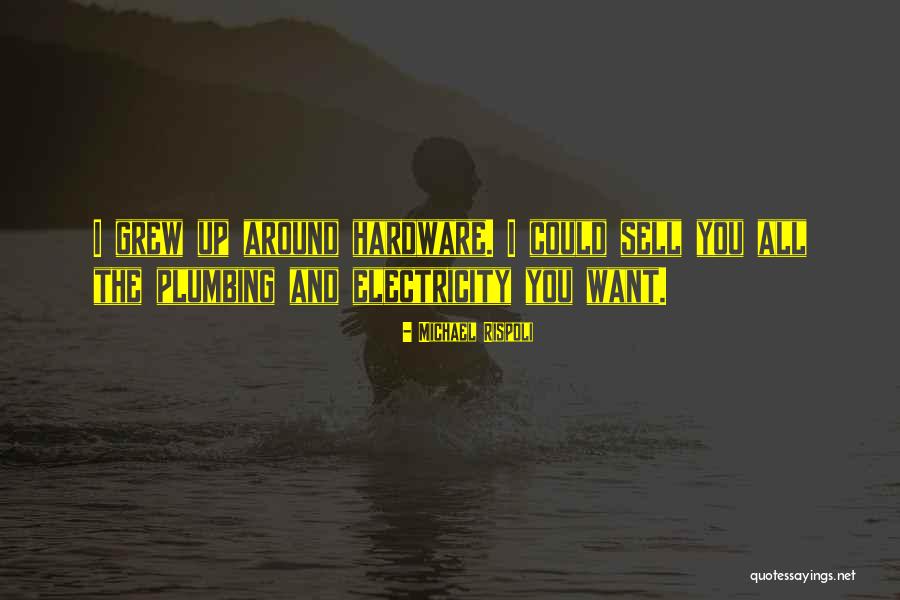 Sachidananda Swamiji Quotes By Michael Rispoli Sachidananda Swamiji Quotes By Michael Rispoli