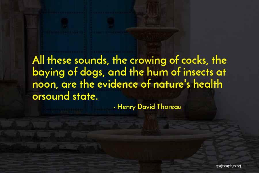 Sachika Misawa Quotes By Henry David Thoreau Sachika Misawa Quotes By Henry David Thoreau
