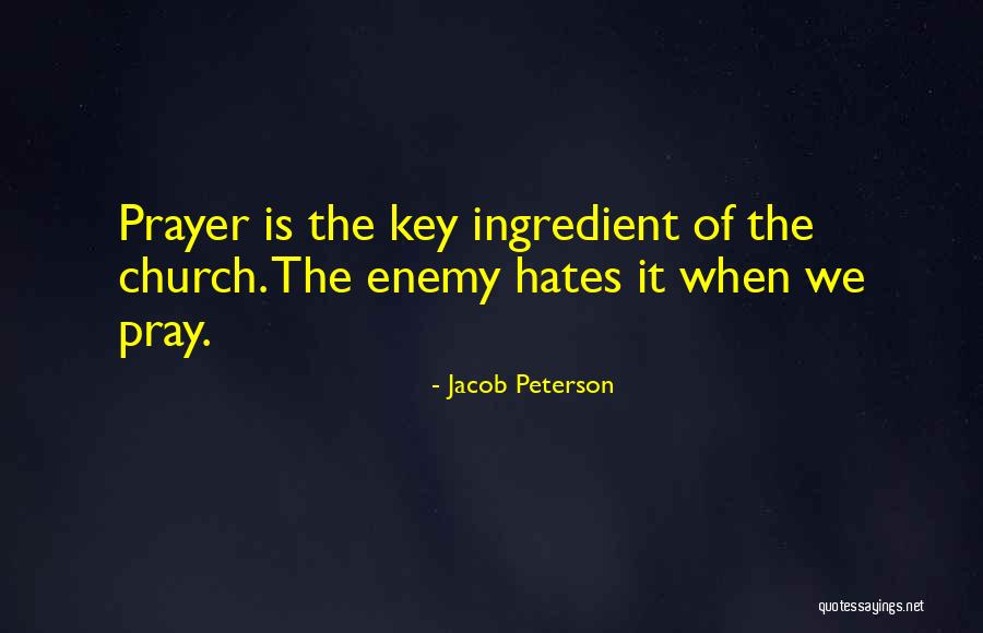 Sachini Dance Quotes By Jacob Peterson