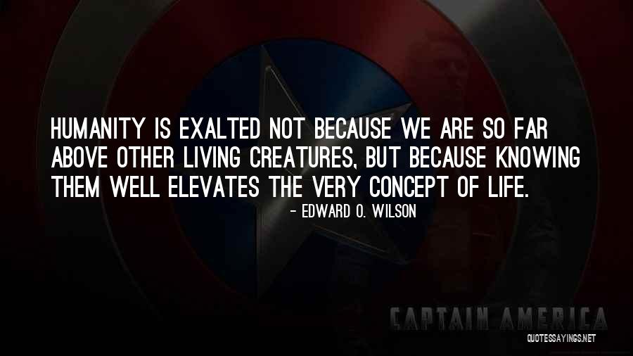 Sackbut Quotes By Edward O. Wilson Sackbut Quotes By Edward O. Wilson
