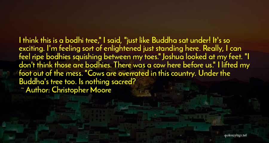 Sacred Cow Quotes By Christopher Moore