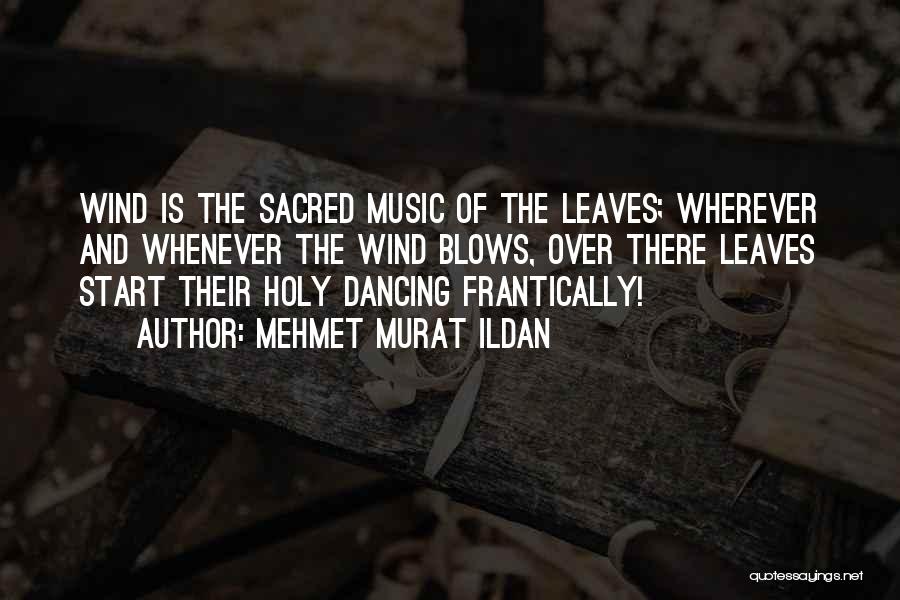 Sacred Music Quotes By Mehmet Murat Ildan