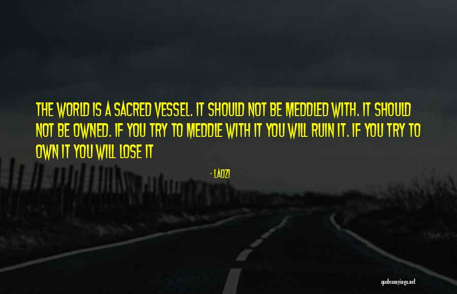 Sacred Vessel Quotes By Laozi Sacred Vessel Quotes By Laozi