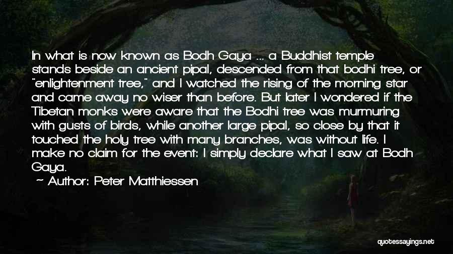 Sacredness Of Life Quotes By Peter Matthiessen