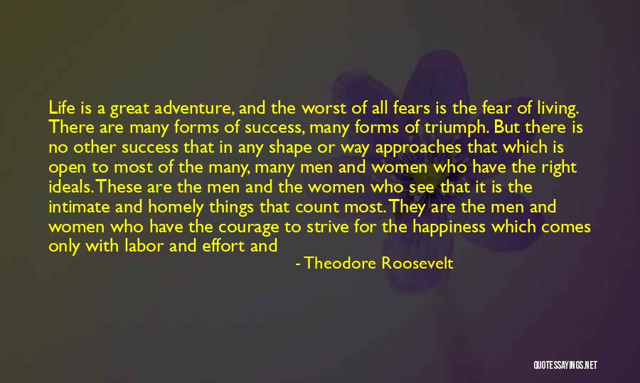 Sacrifice And Success Quotes By Theodore Roosevelt