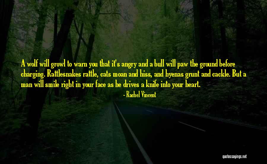 Sacrifice In Romeo And Juliet Quotes By Rachel Vincent Sacrifice In Romeo And Juliet Quotes By Rachel Vincent