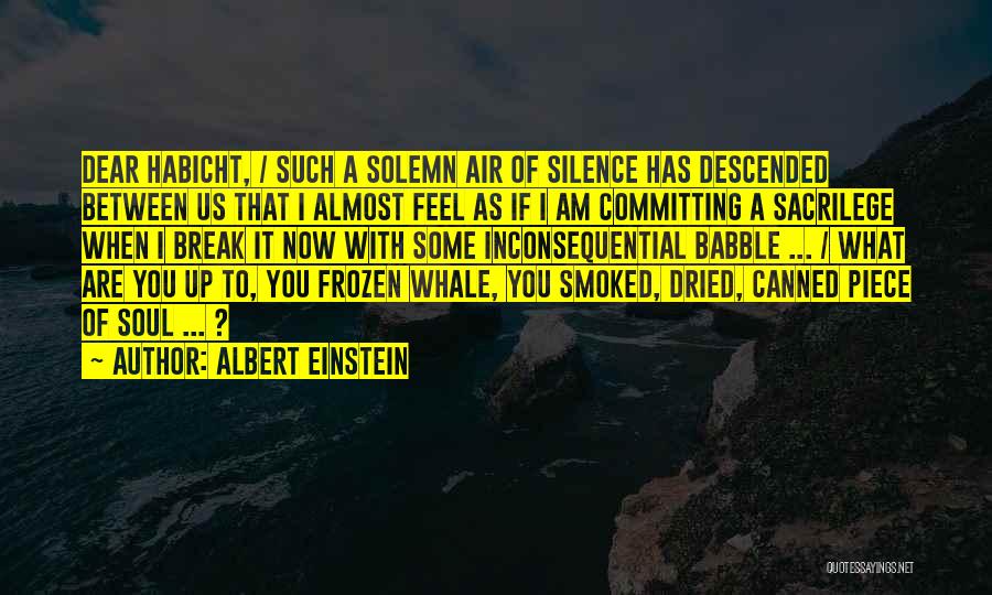 Sacrilege Quotes By Albert Einstein