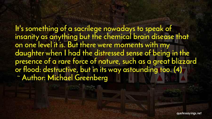 Sacrilege Quotes By Michael Greenberg