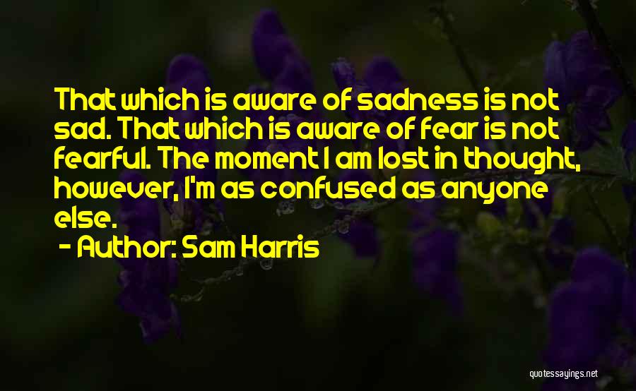 Sad And Confused Quotes By Sam Harris