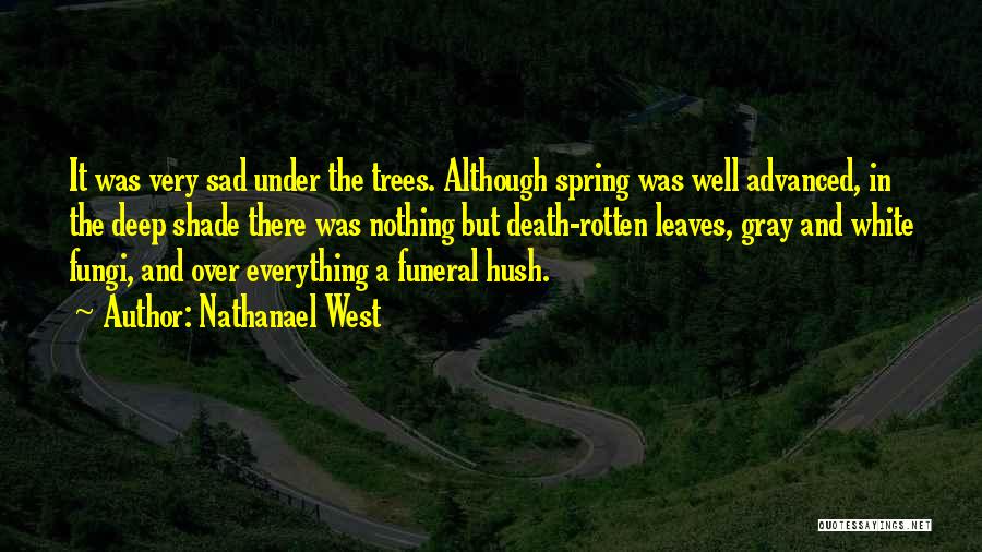 Sad And Deep Quotes By Nathanael West