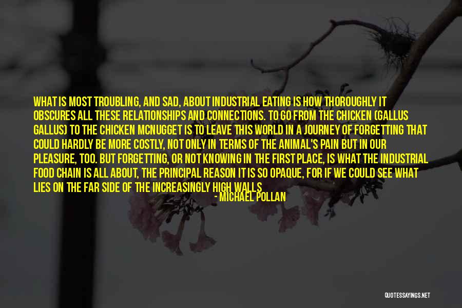 Sad And Pain Quotes By Michael Pollan