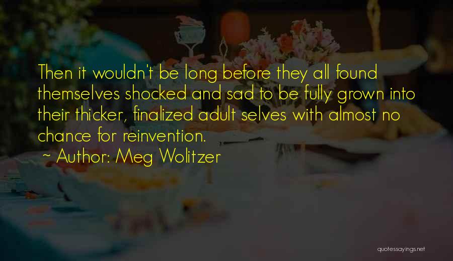 Sad And Shocked Quotes By Meg Wolitzer