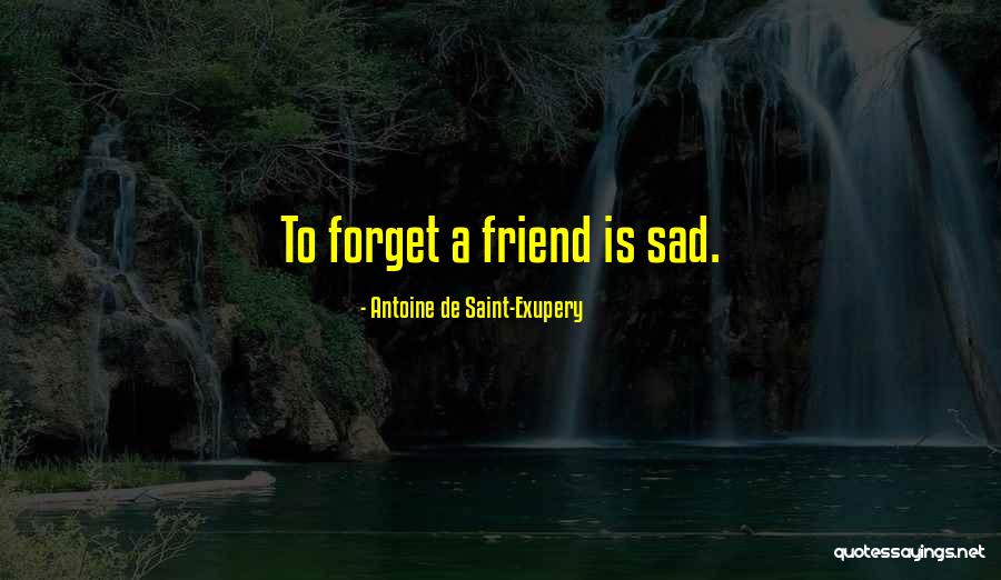 Sad Best Friend Quotes By Antoine De Saint-Exupery