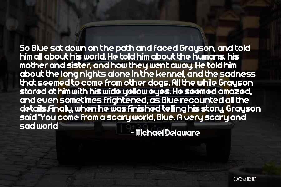 Sad Blue Eyes Quotes By Michael Delaware