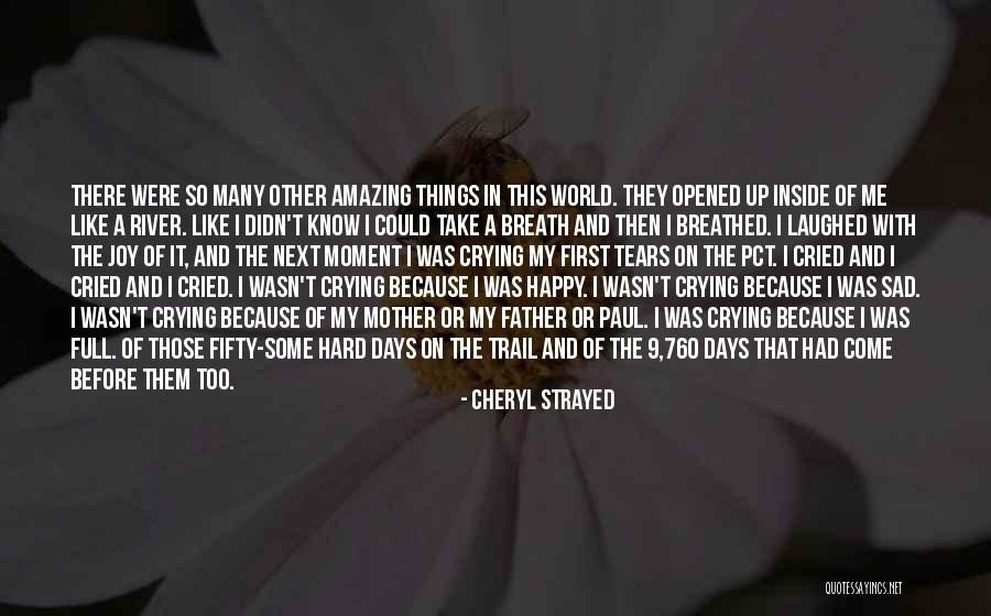 Sad But Amazing Quotes By Cheryl Strayed