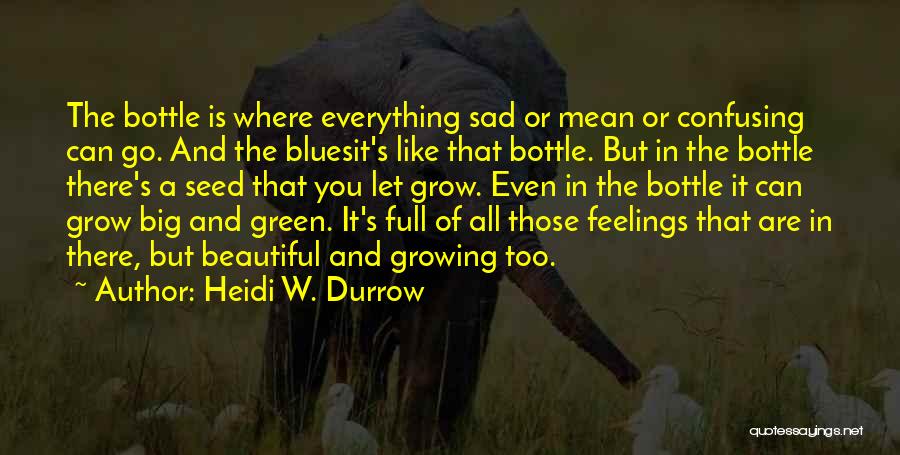 Sad But Beautiful Quotes By Heidi W. Durrow