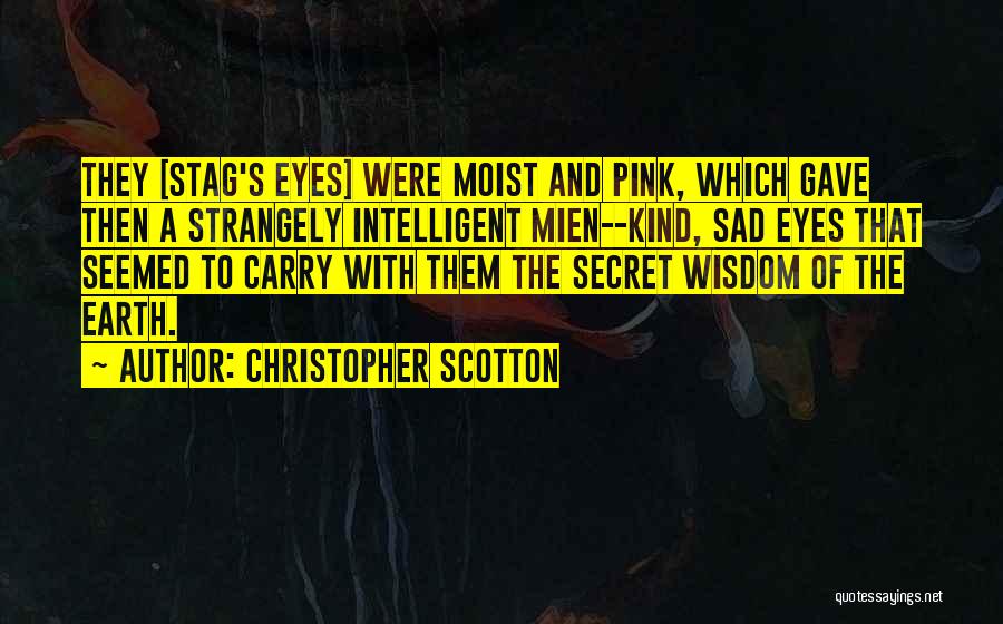 Sad But Intelligent Quotes By Christopher Scotton