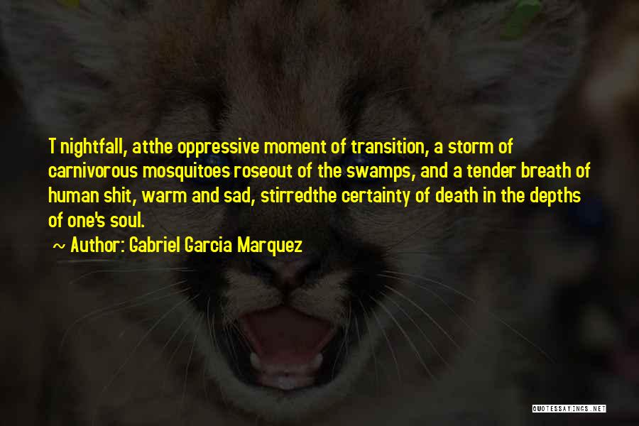 Sad Death Love Quotes By Gabriel Garcia Marquez