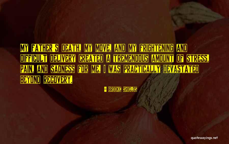 Sad Father Quotes By Brooke Shields Sad Father Quotes By Brooke Shields