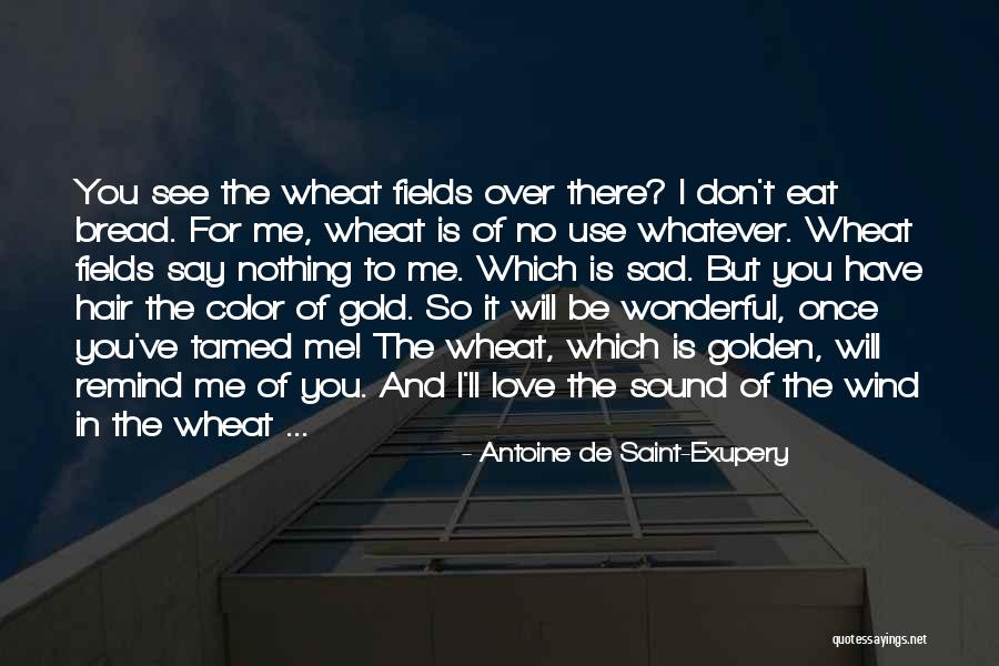 Sad Friendship Quotes By Antoine De Saint-Exupery Sad Friendship Quotes By Antoine De Saint-Exupery