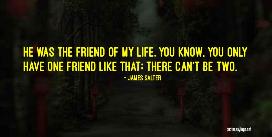 Sad Friendship Quotes By James Salter Sad Friendship Quotes By James Salter