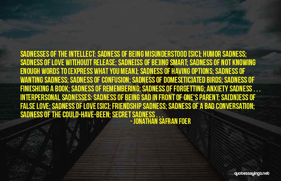 Sad Friendship Quotes By Jonathan Safran Foer Sad Friendship Quotes By Jonathan Safran Foer