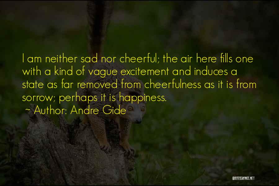 Sad Happiness Quotes By Andre Gide