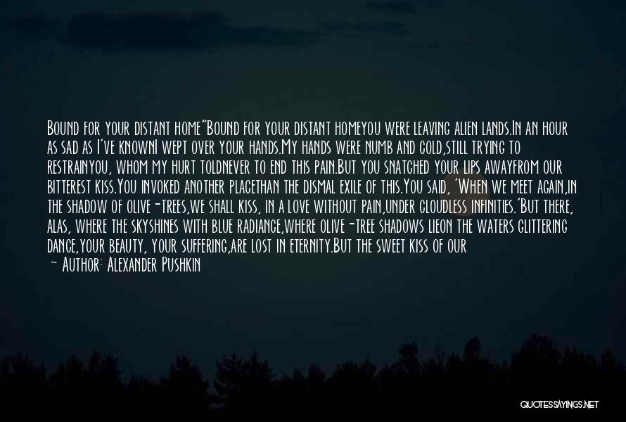 Sad Hurt Quotes By Alexander Pushkin