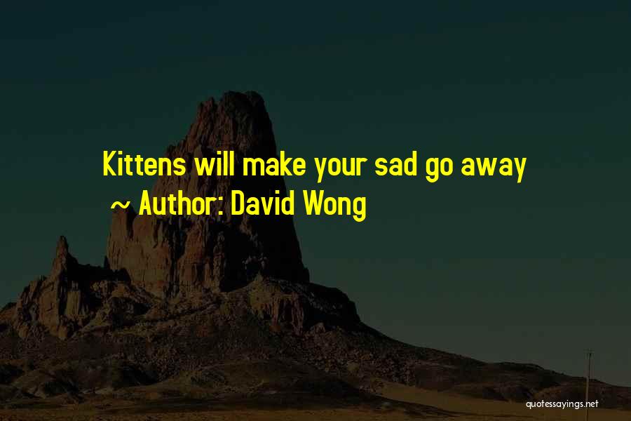 Sad Kitten Quotes By David Wong