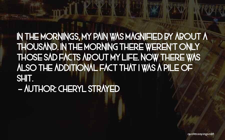 Sad Life Death Quotes By Cheryl Strayed