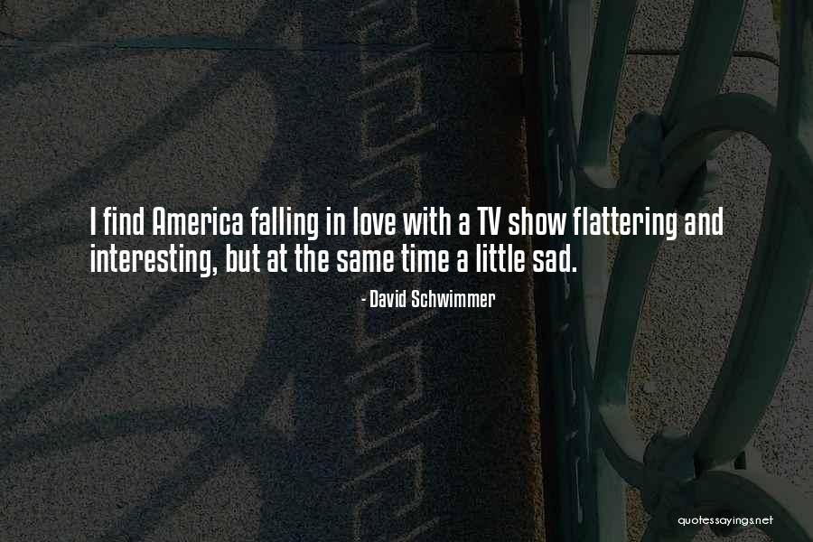 Sad Little Love Quotes By David Schwimmer