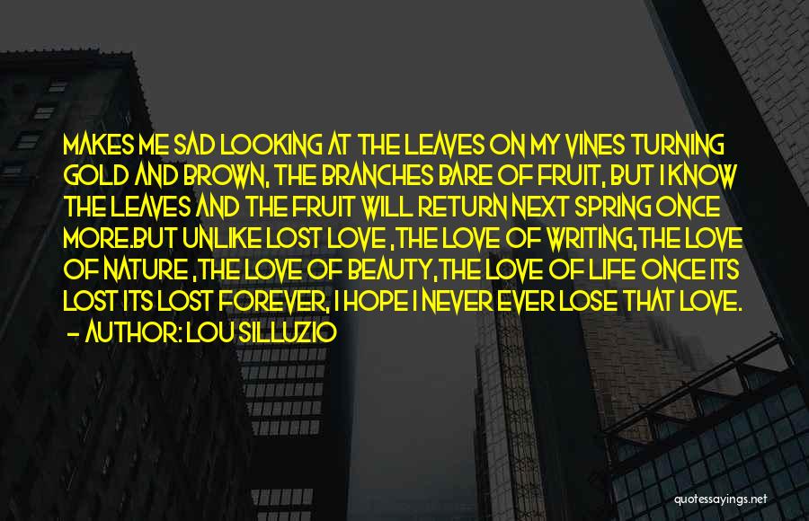 Sad Lost Love Quotes By Lou Silluzio