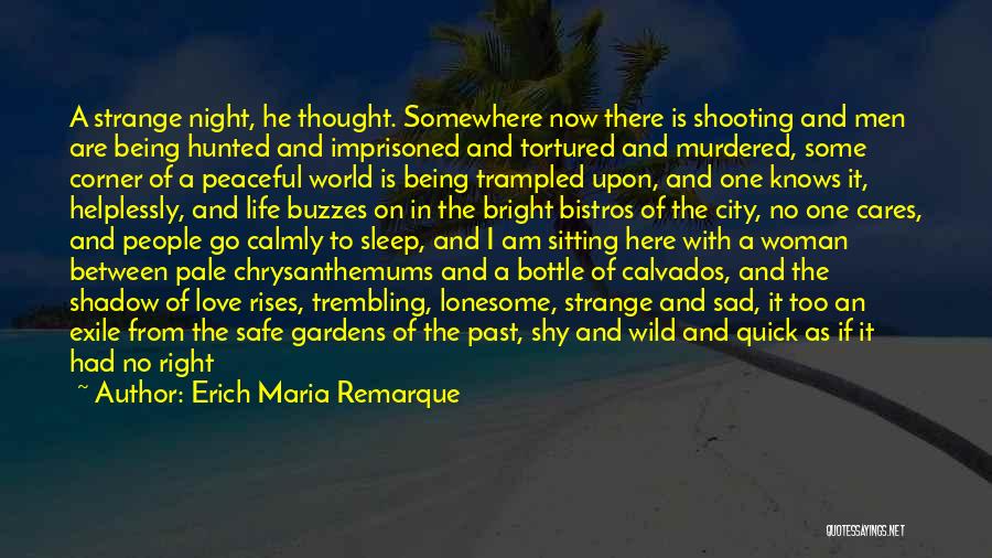 Sad Love Thought Quotes By Erich Maria Remarque