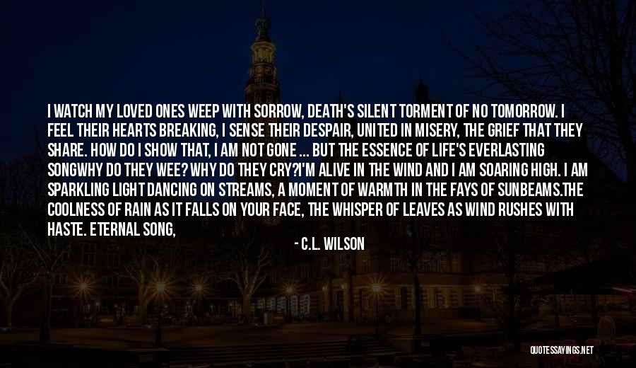 Sad Moment Life Quotes By C.L. Wilson