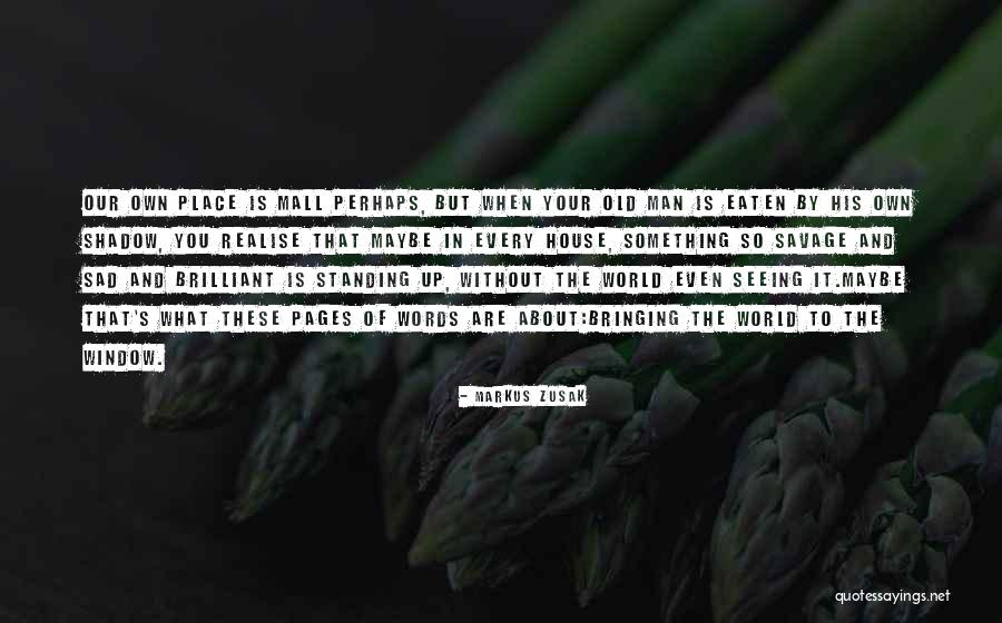 Sad Old Man Quotes By Markus Zusak Sad Old Man Quotes By Markus Zusak