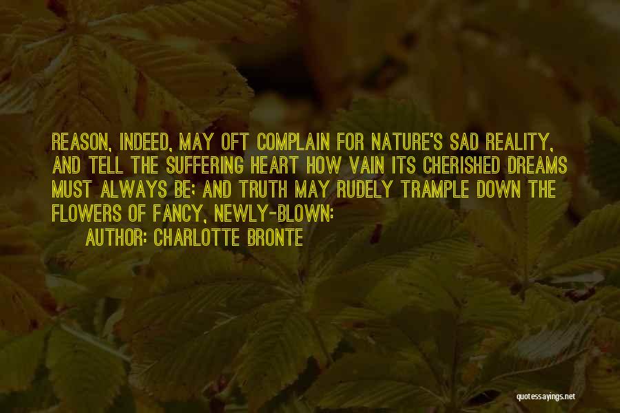 Sad Reality Quotes By Charlotte Bronte