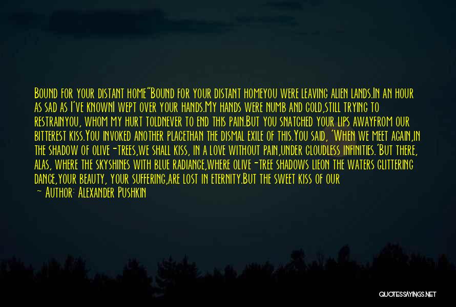 Sad Sad Love Quotes By Alexander Pushkin