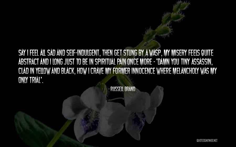 Sad Self Quotes By Russell Brand Sad Self Quotes By Russell Brand