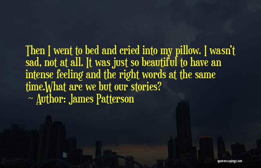 Sad Stories Quotes By James Patterson