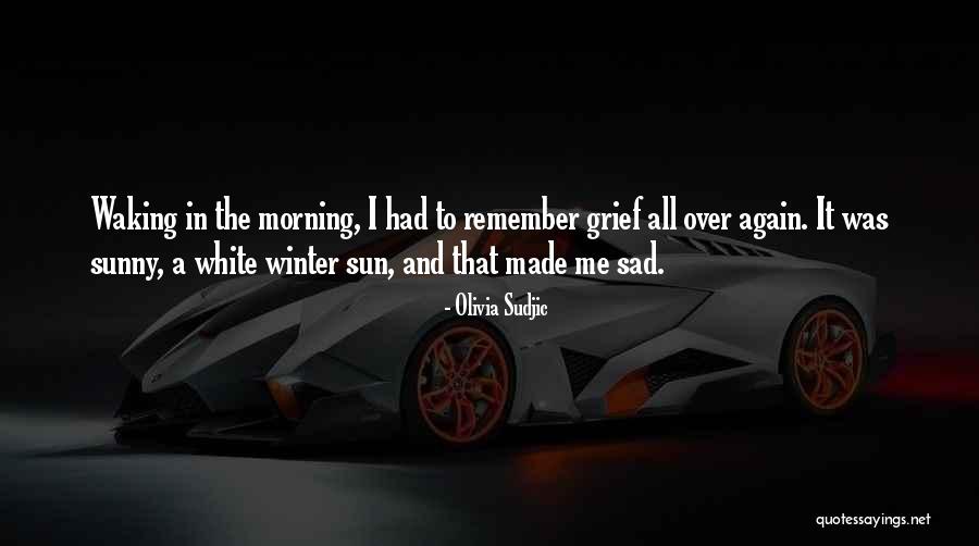 Sad Sun Quotes By Olivia Sudjic Sad Sun Quotes By Olivia Sudjic