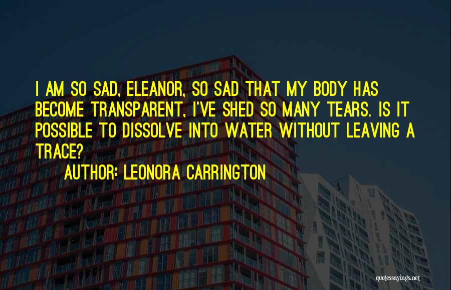 Sad Water Quotes By Leonora Carrington