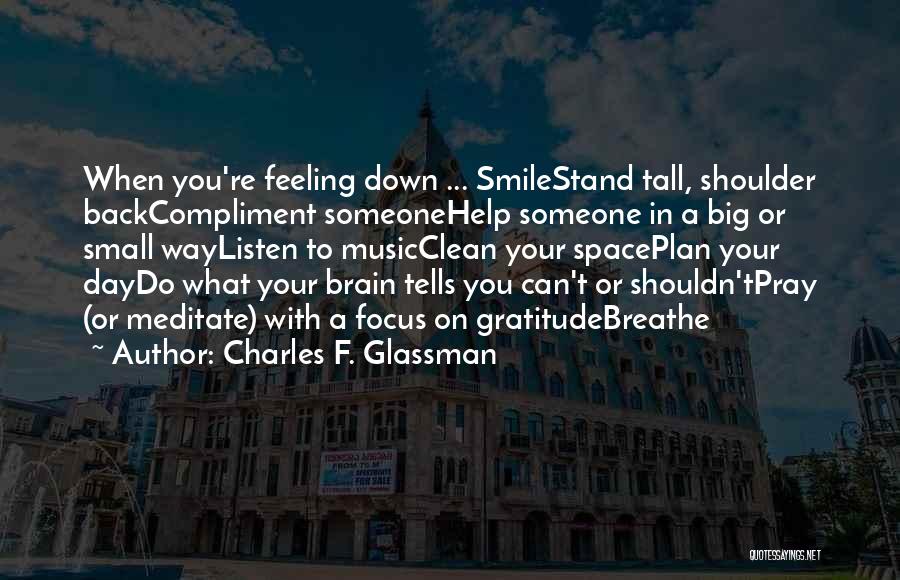 Sad With Smile Quotes By Charles F. Glassman