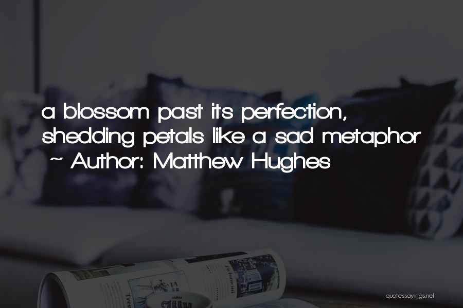 Sad Wording Quotes By Matthew Hughes