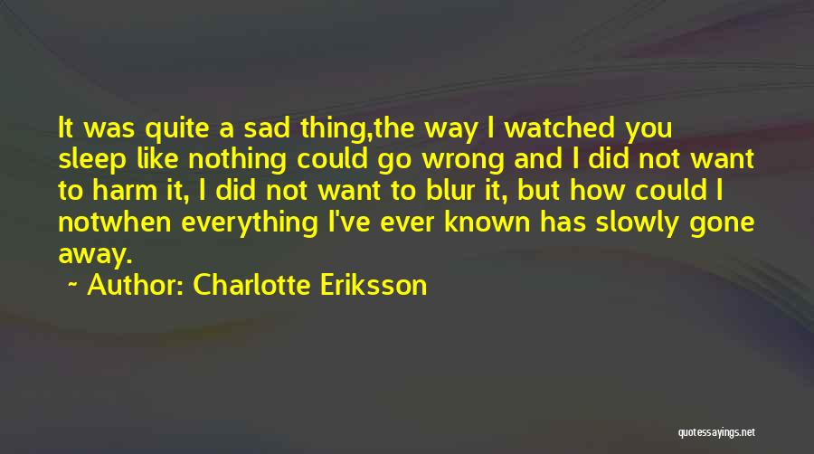 Sad You're Gone Quotes By Charlotte Eriksson