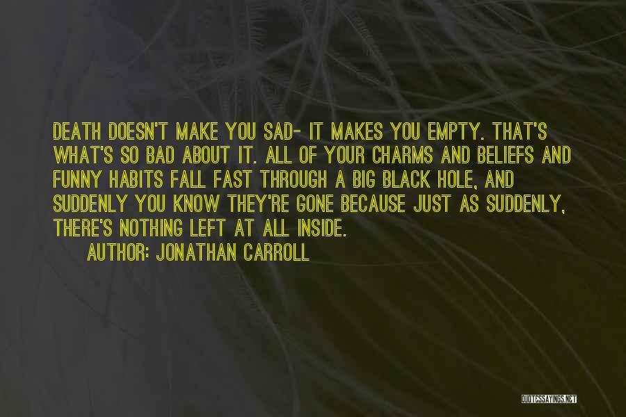 Sad You're Gone Quotes By Jonathan Carroll