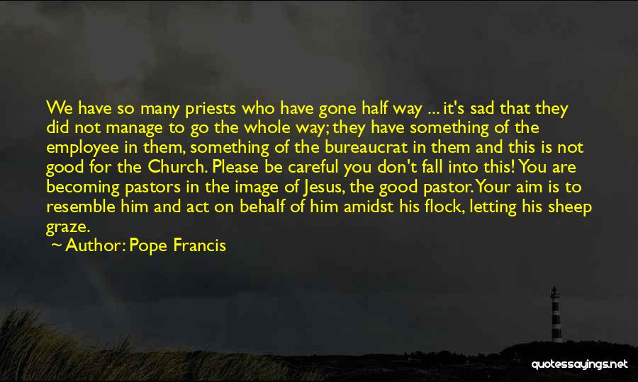 Sad You're Gone Quotes By Pope Francis