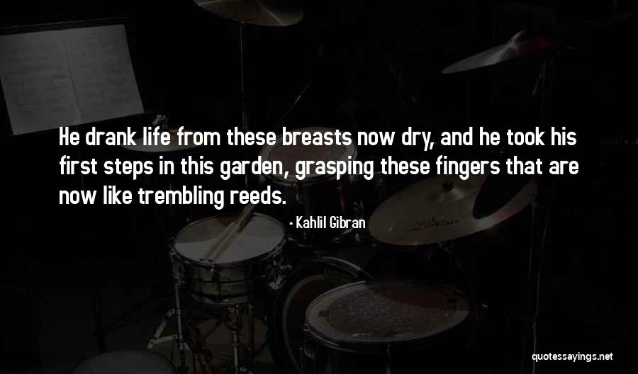 Sadahiro Ando Quotes By Kahlil Gibran Sadahiro Ando Quotes By Kahlil Gibran