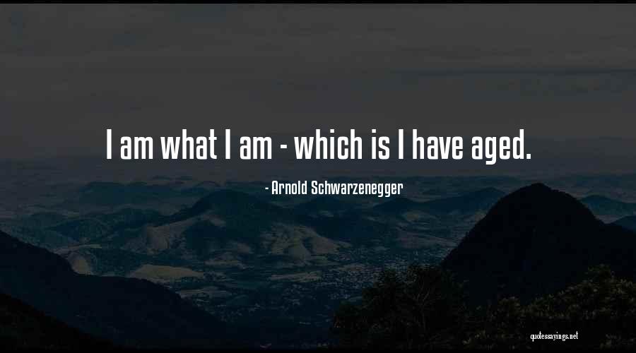 Sadander Quotes By Arnold Schwarzenegger Sadander Quotes By Arnold Schwarzenegger